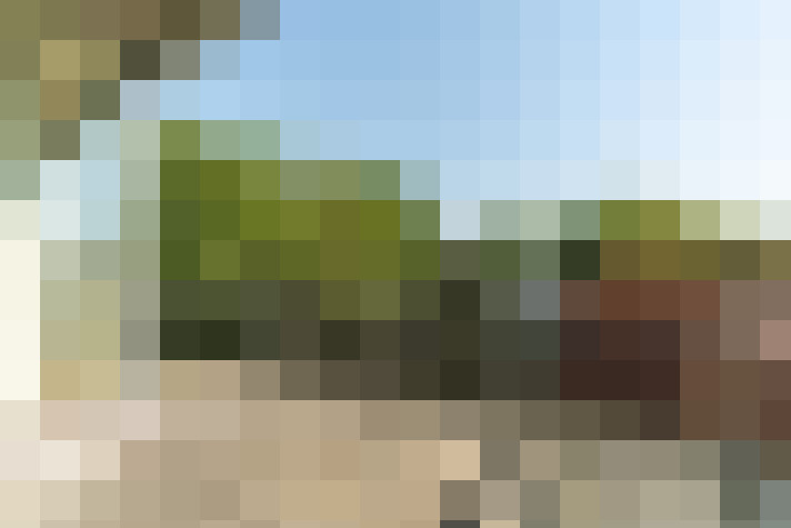Image 20