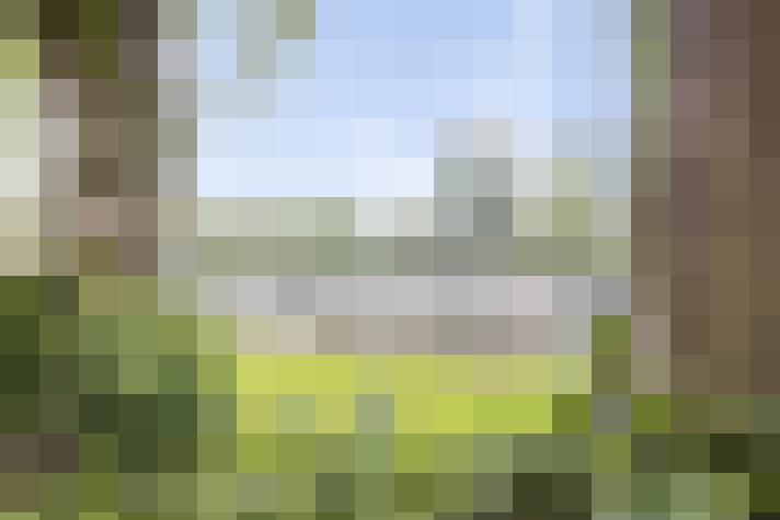 Image 17