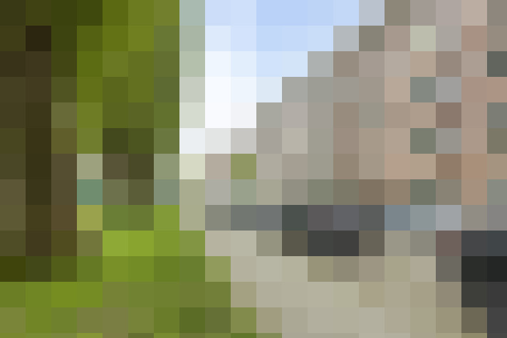 Image 22