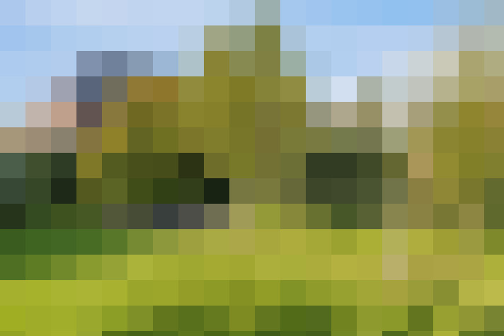 Image 41