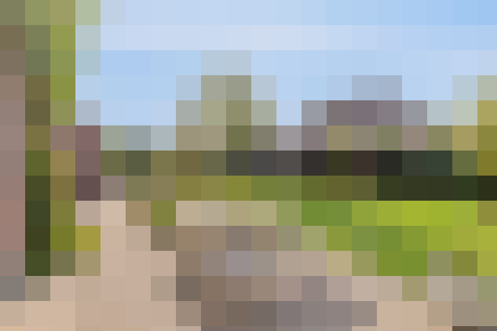 Image 40