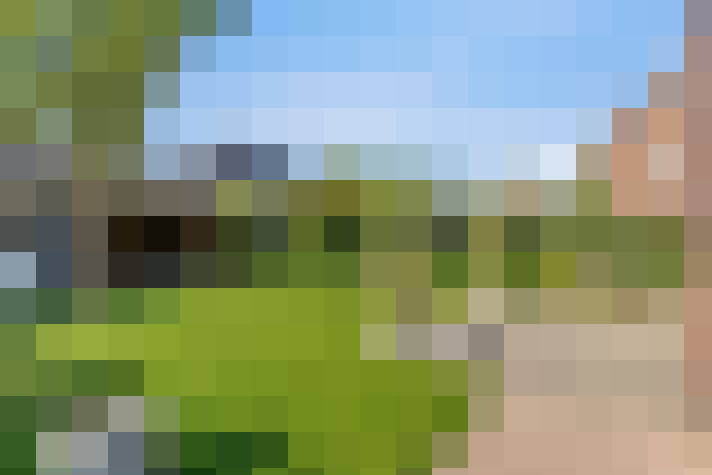 Image 38