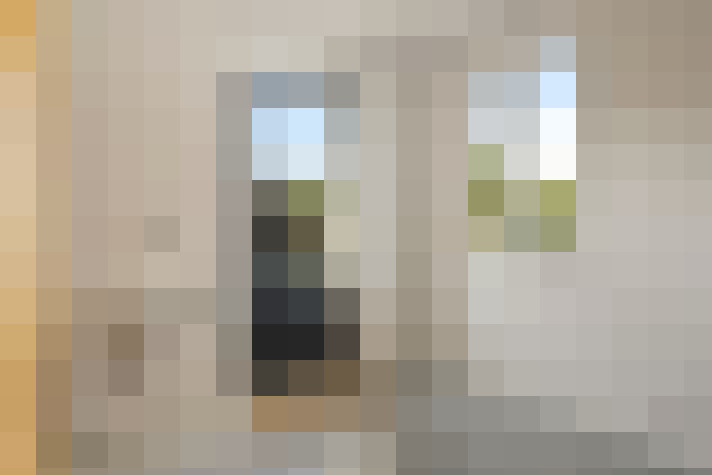 Image 20