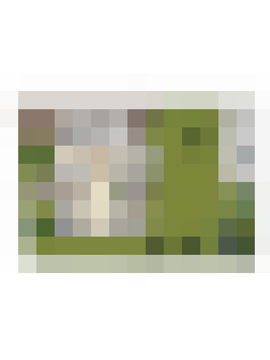 Image 53