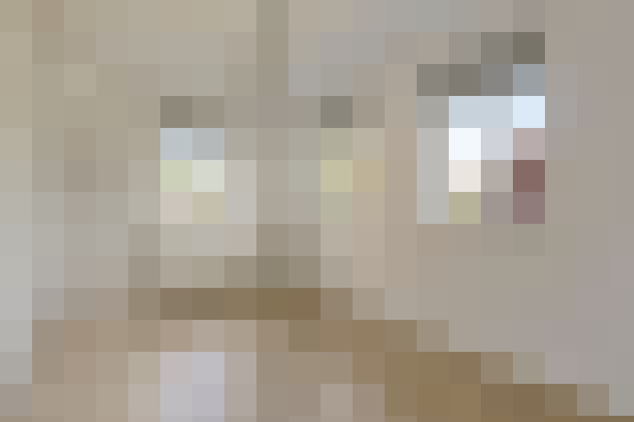 Image 22
