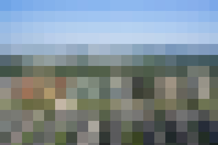 Image 21