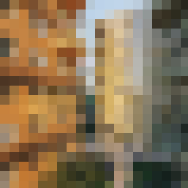 Image 13