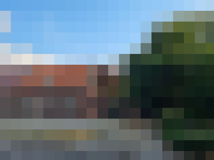 Image 21