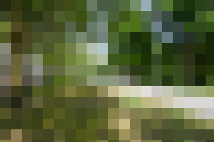 Image 27