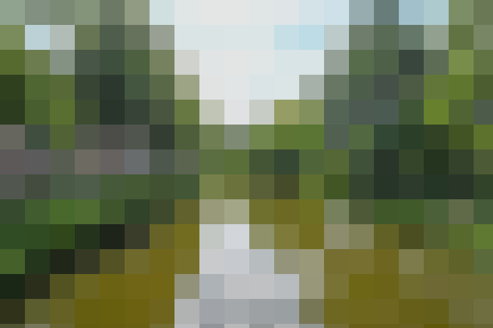 Image 25