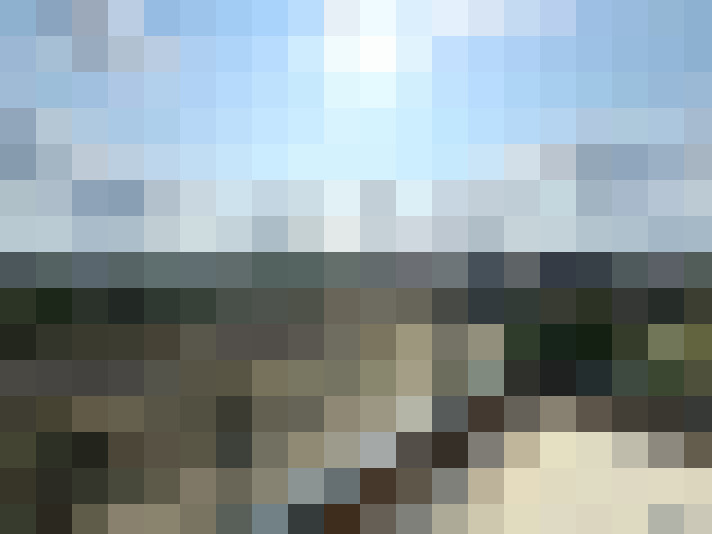 Image 13