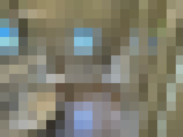 Image 13