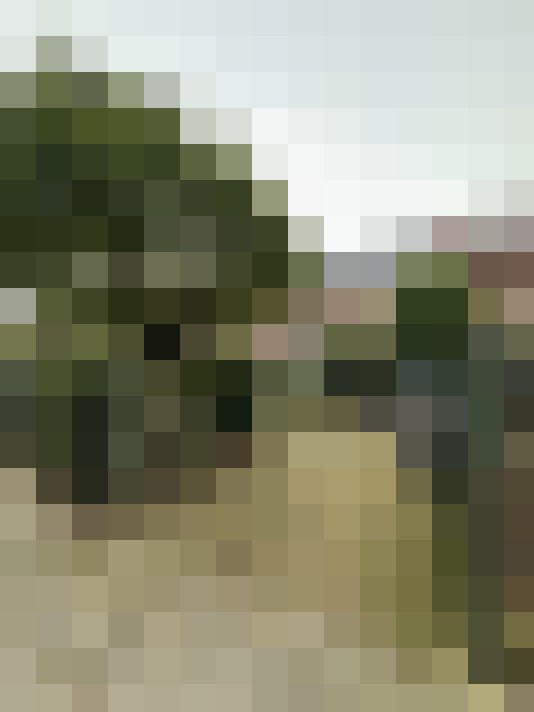 Image 22