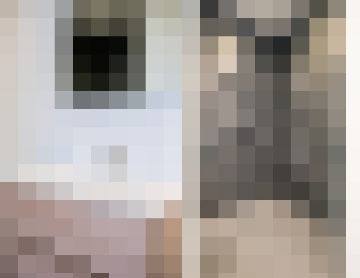 Image 26