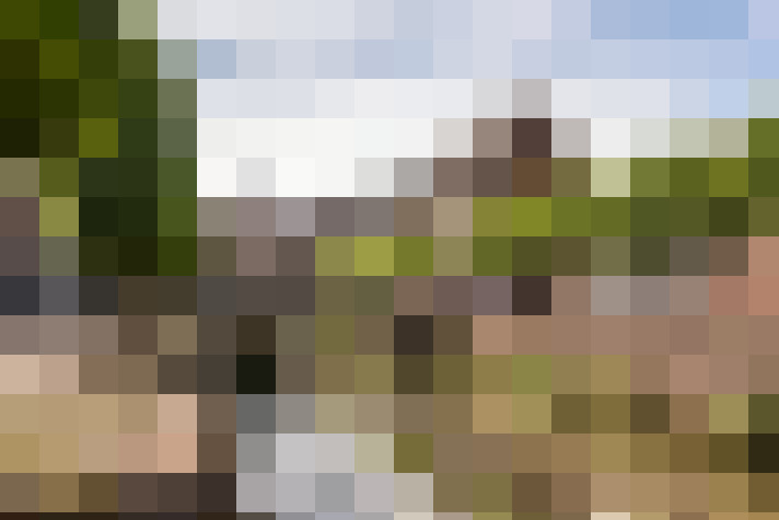 Image 32