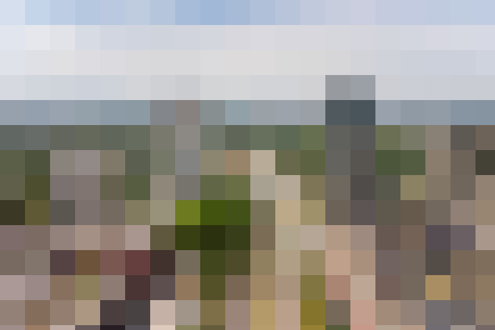 Image 30