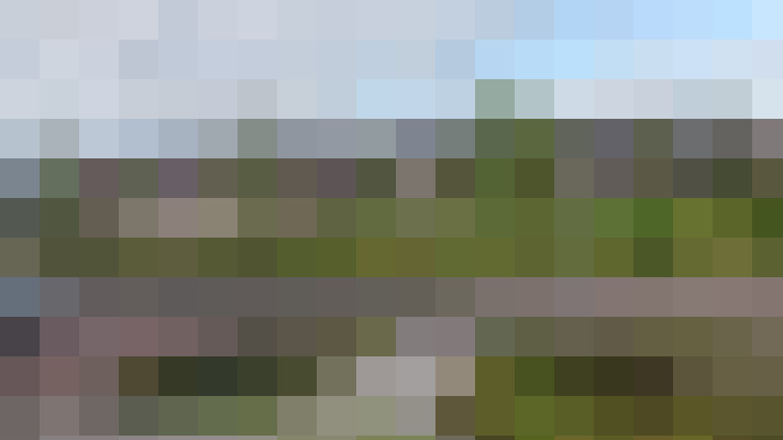 Image 17