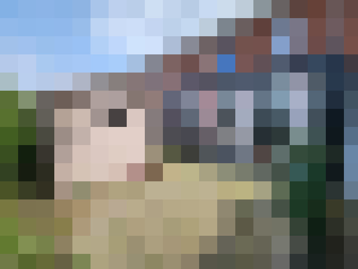 Image 20