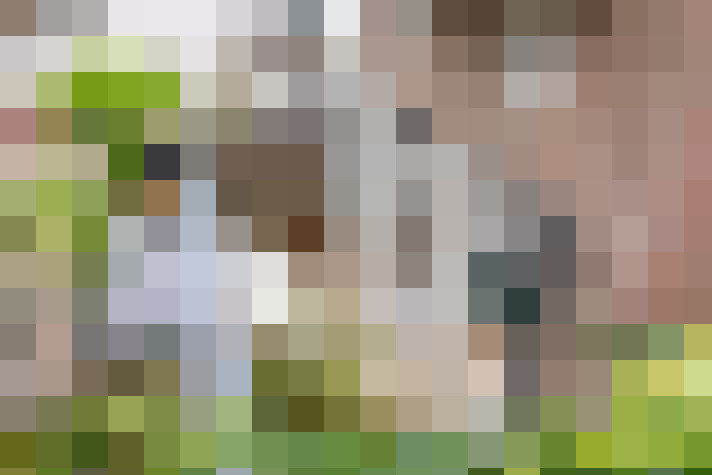 Image 37
