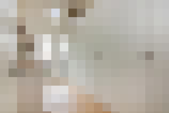 Image 31