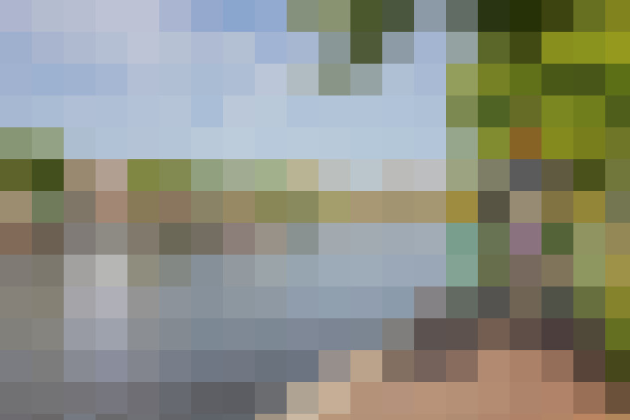 Image 41