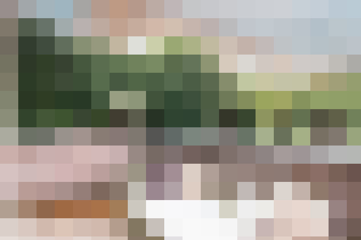 Image 35