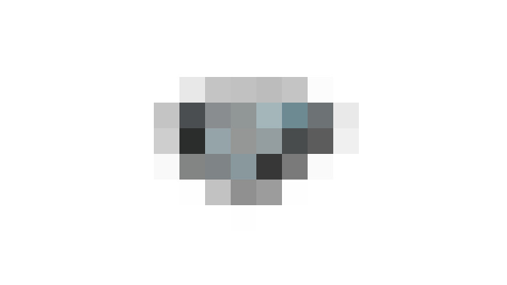 Image 41