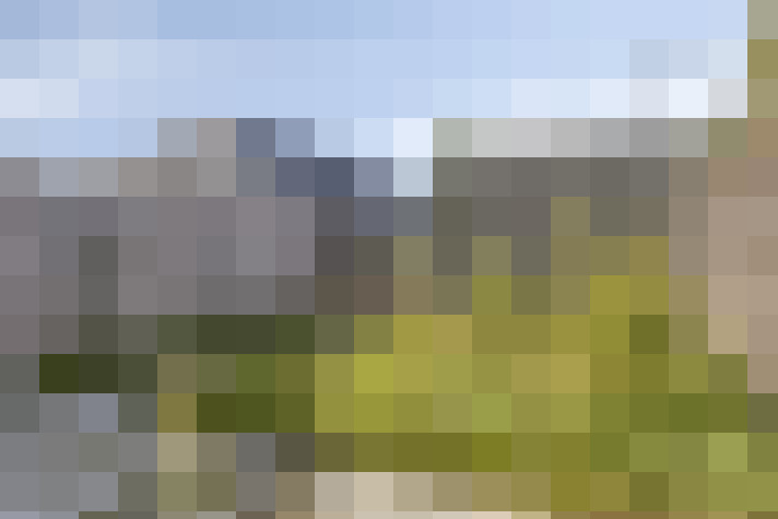 Image 22
