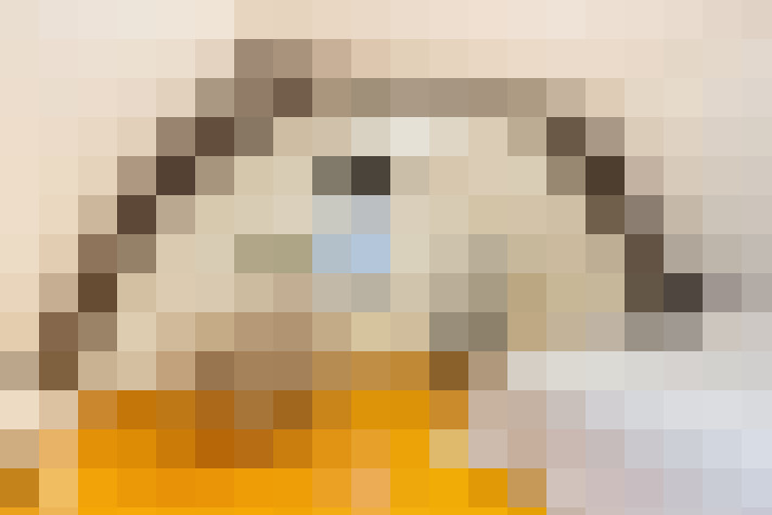 Image 25