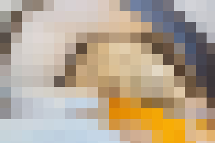 Image 29