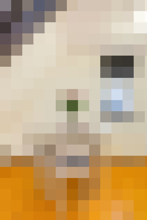 Image 51