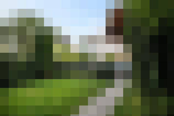 Image 45
