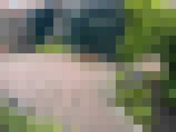 Image 24