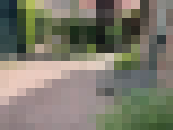Image 27