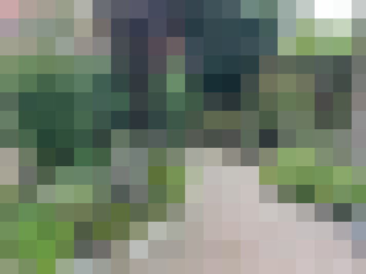Image 26