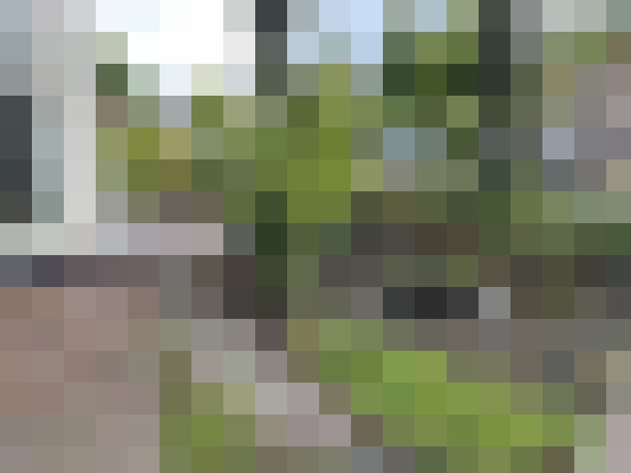 Image 28