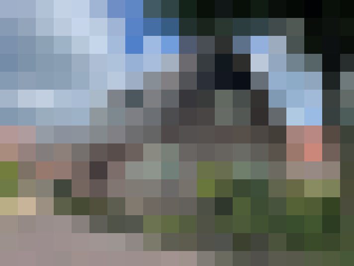 Image 29