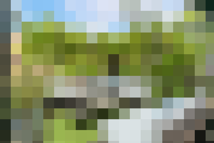 Image 24