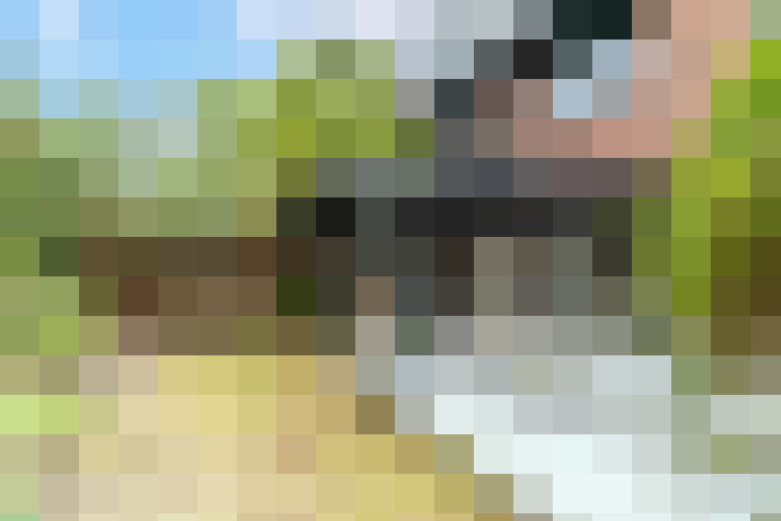 Image 15