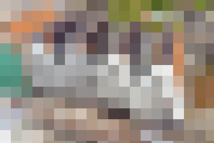 Image 23
