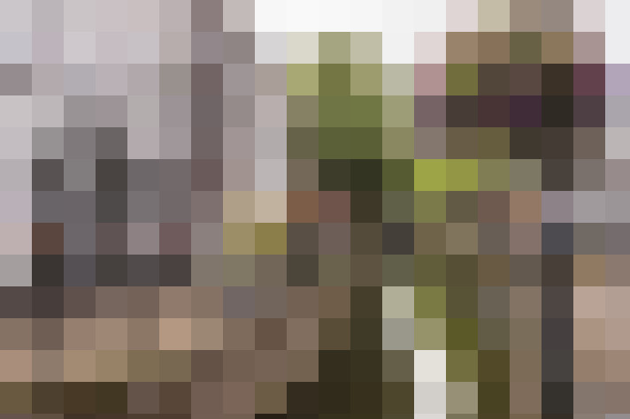 Image 25