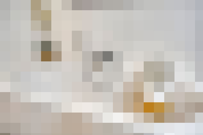 Image 32