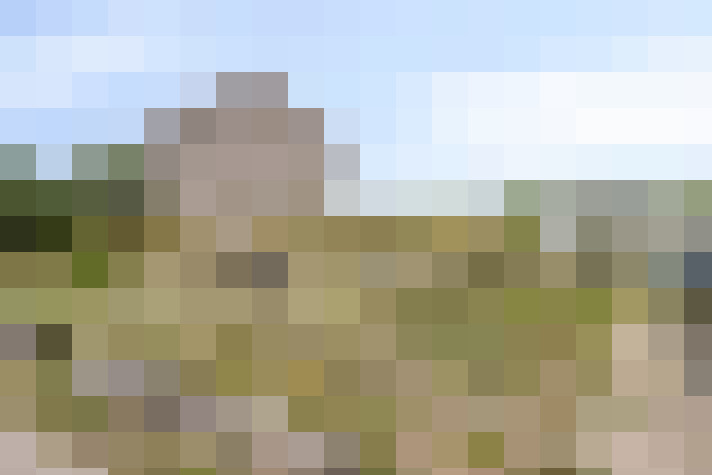 Image 42