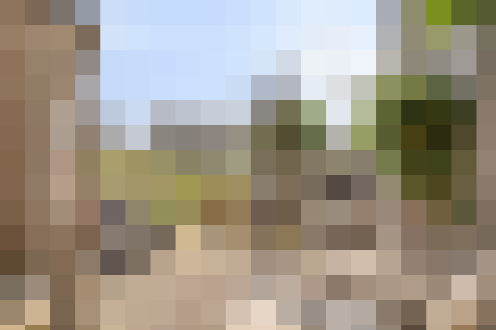 Image 36