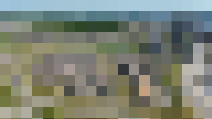 Image 47