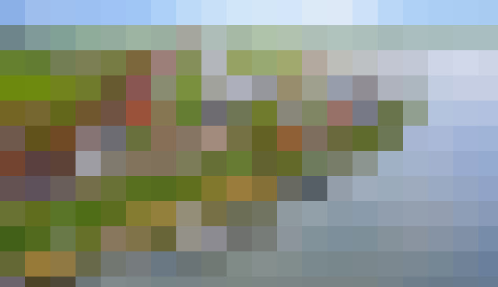 Image 26