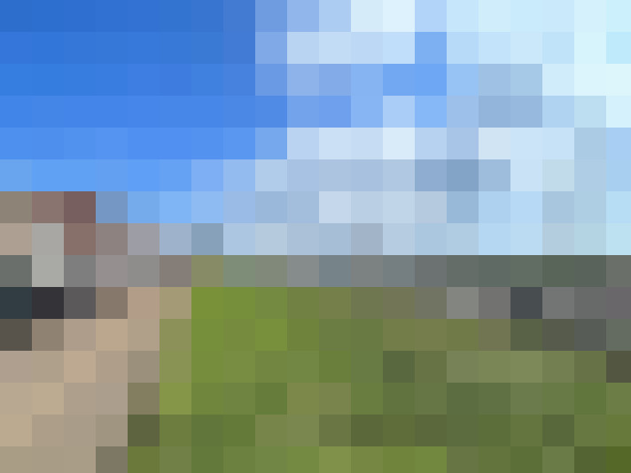 Image 24