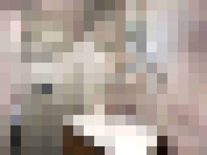 Image 20