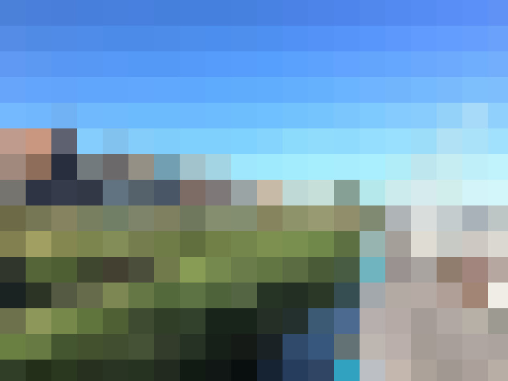 Image 29