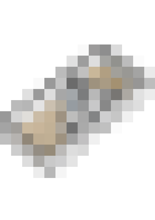 Image 16